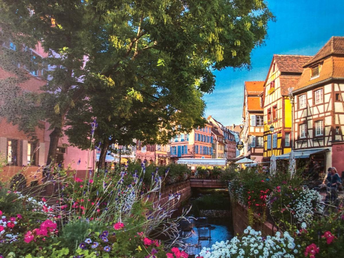 Gîte De Charme Colmar Exterior foto